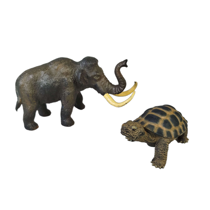 Bullyland Bundle Dinosaurier & Tiere 68353 Set von 4 Tierfiguren