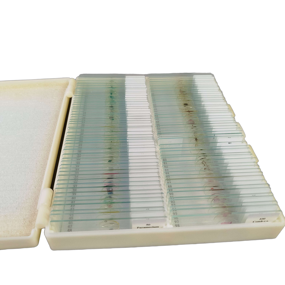MAXLAPTER Biological Specimen 100 Mikroskop-Präparate Set Biologie
