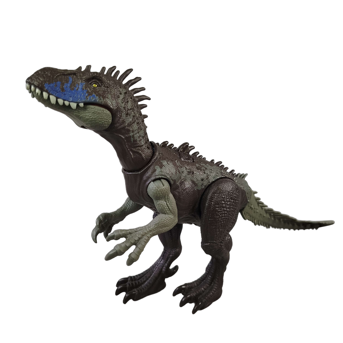 Dragon Toys Bundle Dinosaurier Tyrannosaurus Rex Set von 2 Figuren
