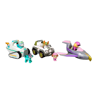 Spin Master Bundle Paw Patrol großes Set Jet, Cruiser, Schneemobil