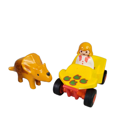 Playmobil Bundle 1.2.3 Explorer mit Dinos 9120 Set Figuren & Fahrzeug
