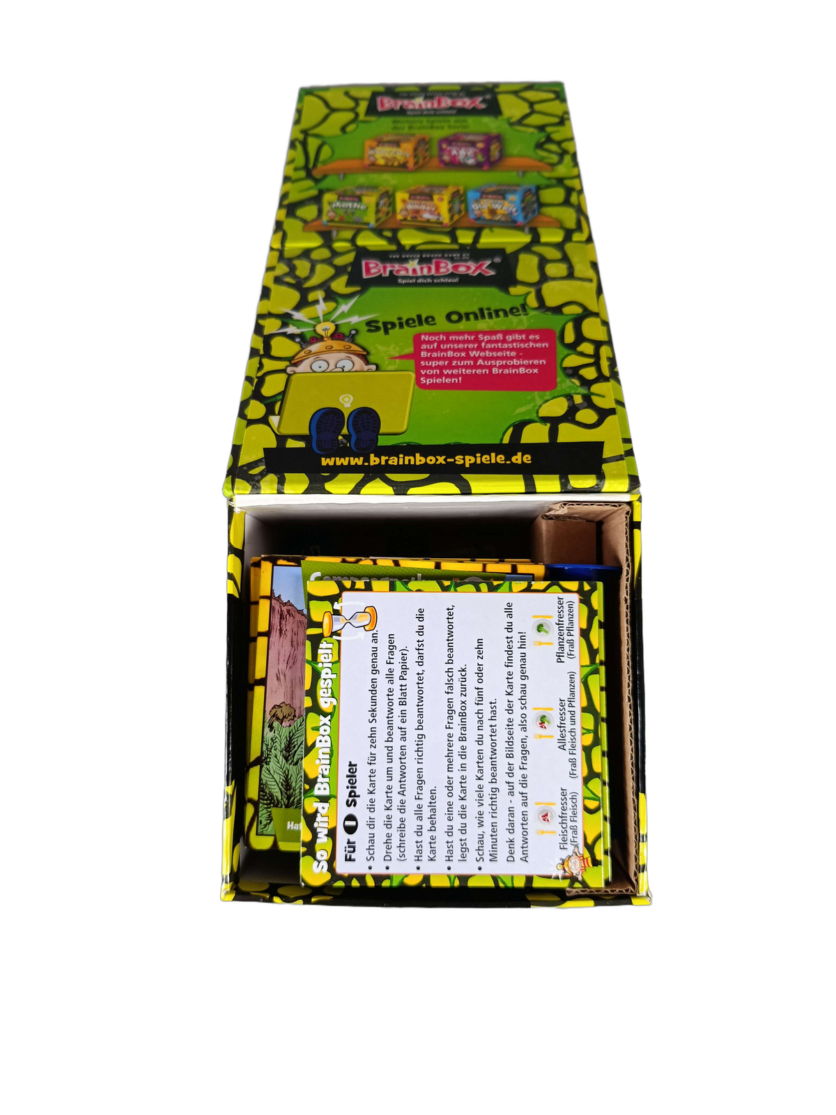 BrainBox Dinosaurier 90038 Kartenspiel & Lernspiel