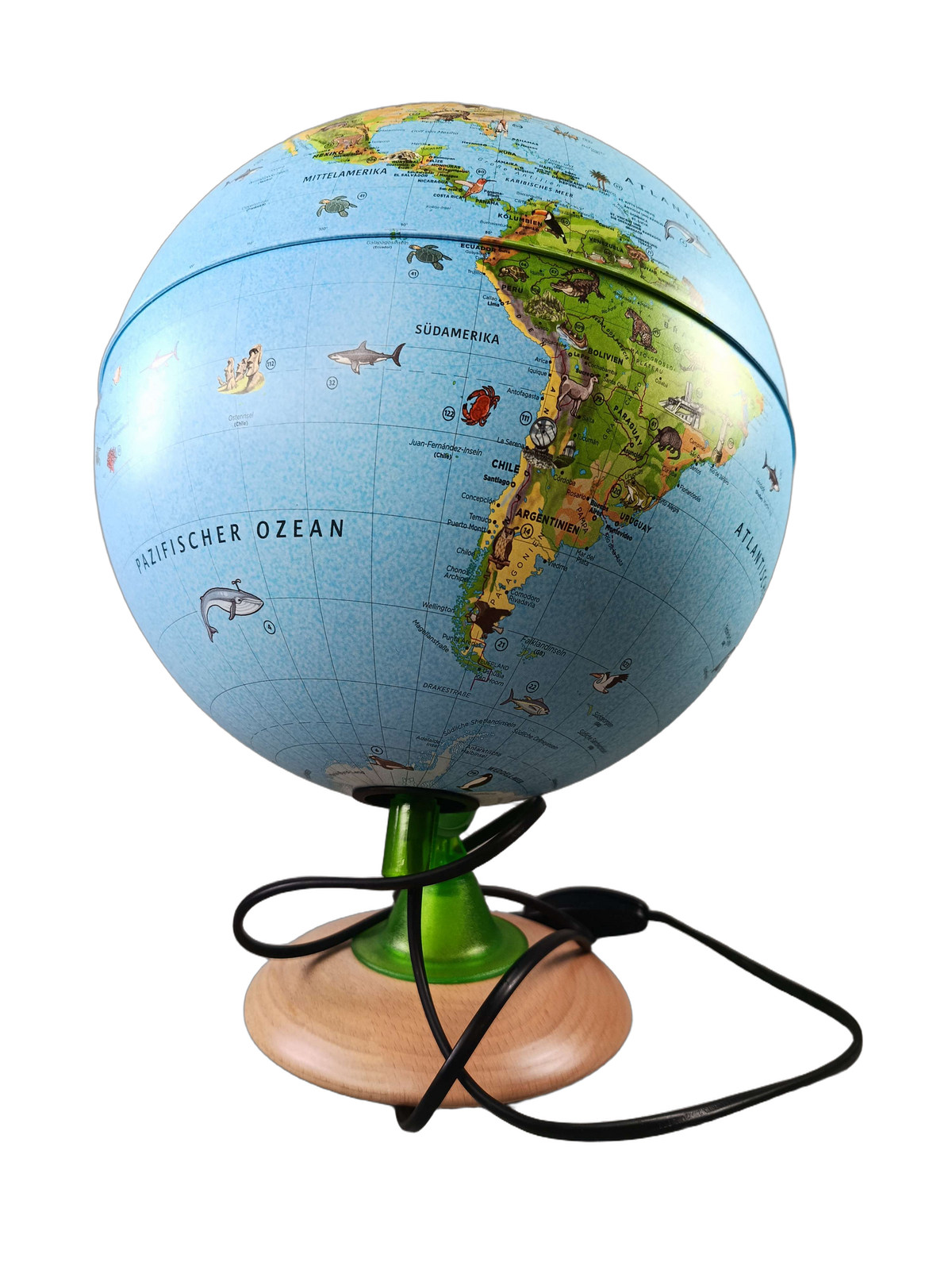 Tecnodidattica Leuchtglobus mit Tierillustrationen Lernspielzeug