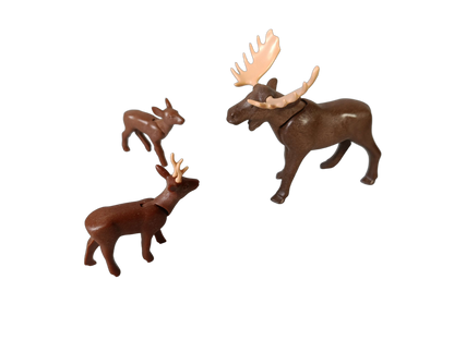 Playmobil Bundle Wildtiere Set Figuren & Tiere Ranger & Kind