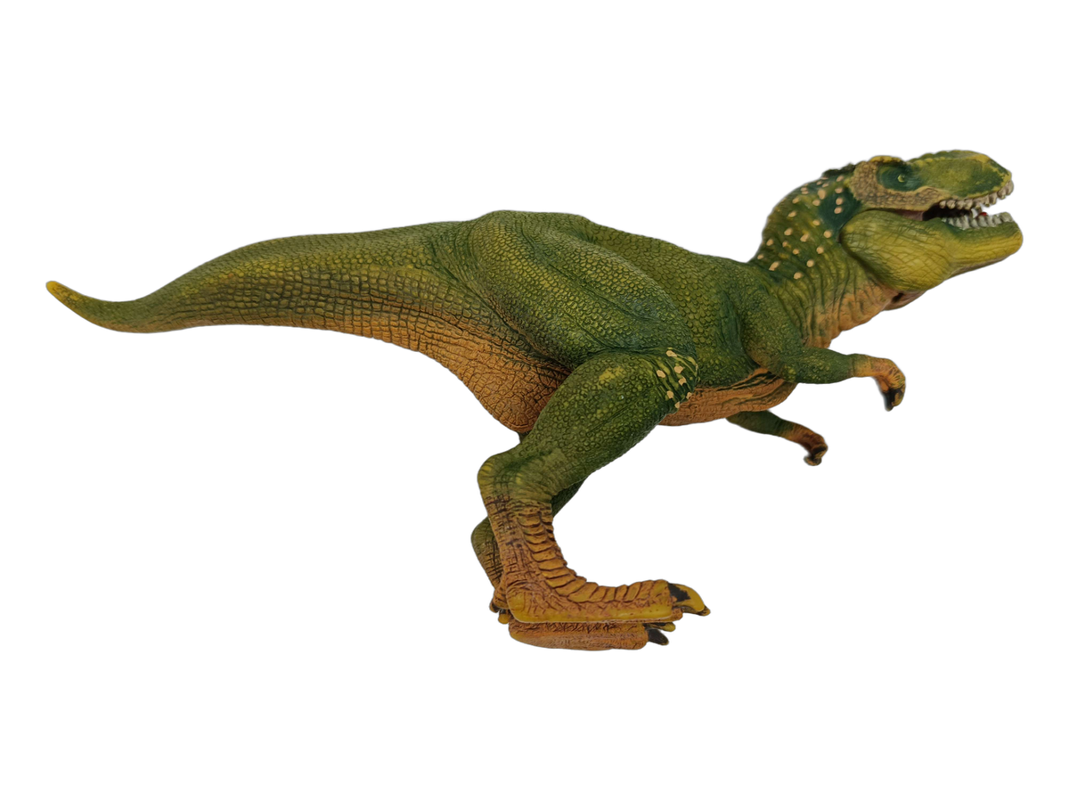 Schleich Tiere Bundle Dinosaurier 15002 14587 15005 5 Teile Figuren