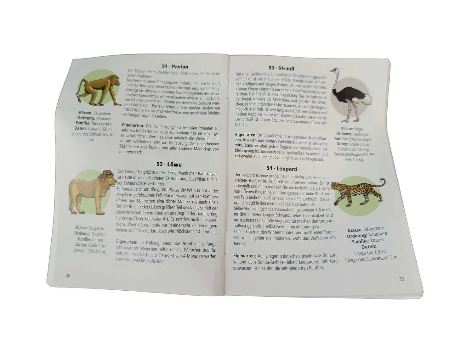 Tecnodidattica Leuchtglobus mit Tierillustrationen Lernspielzeug