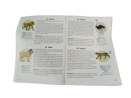 Tecnodidattica Leuchtglobus mit Tierillustrationen Lernspielzeug