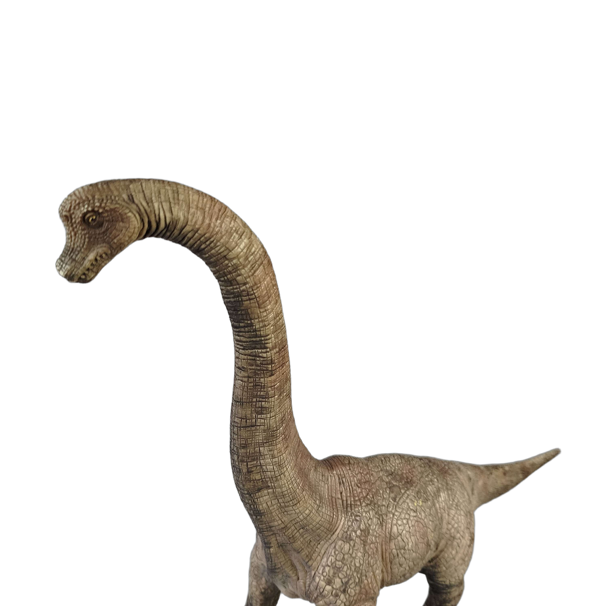 Schleich Tiere Dinosaurier Sauropode Figur