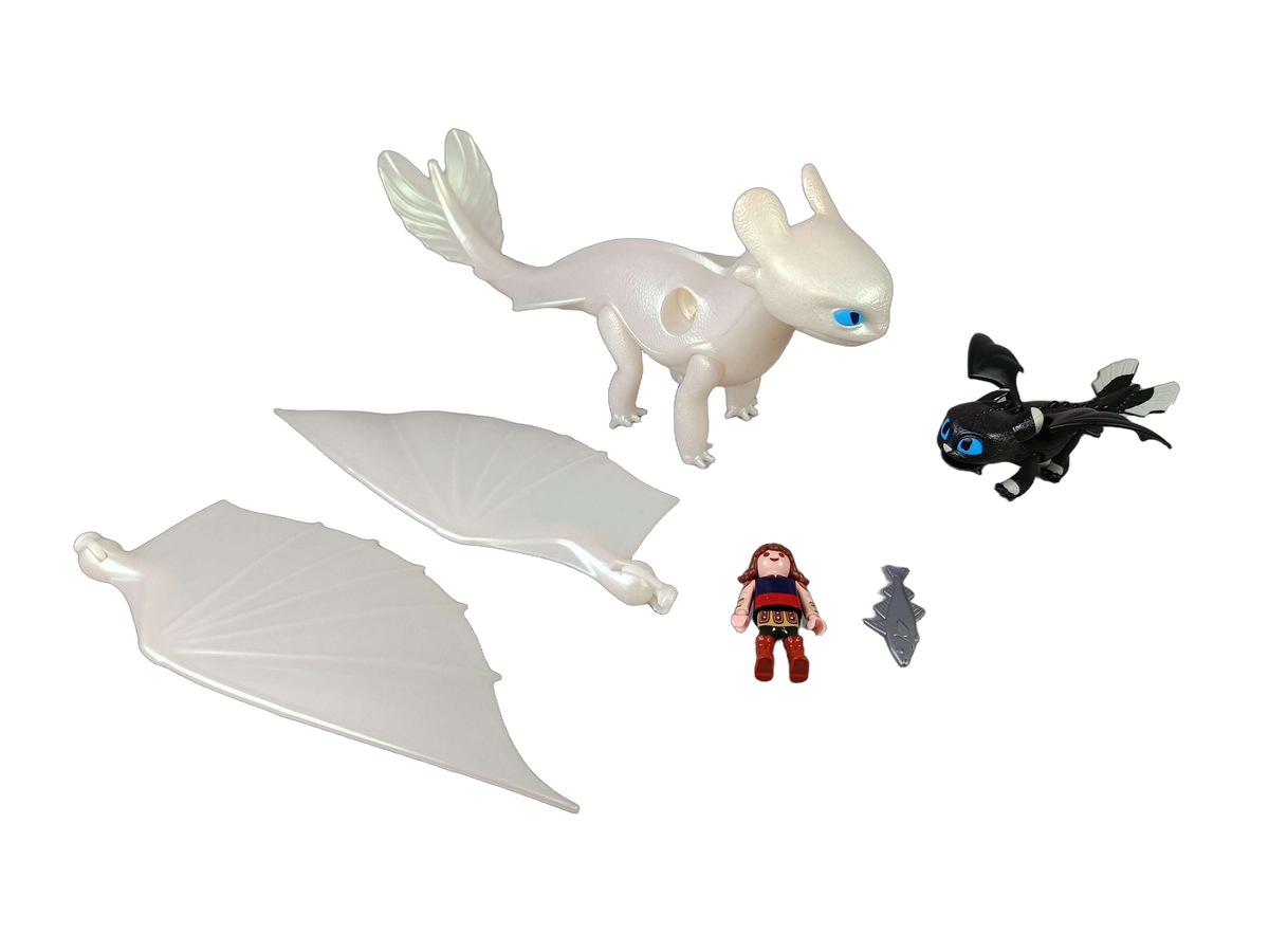 Playmobil 70038 Drachenzähmen Spielset