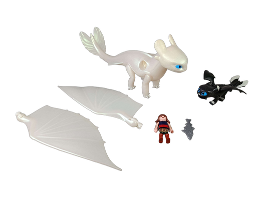 Playmobil 70038 Drachenzähmen Spielset