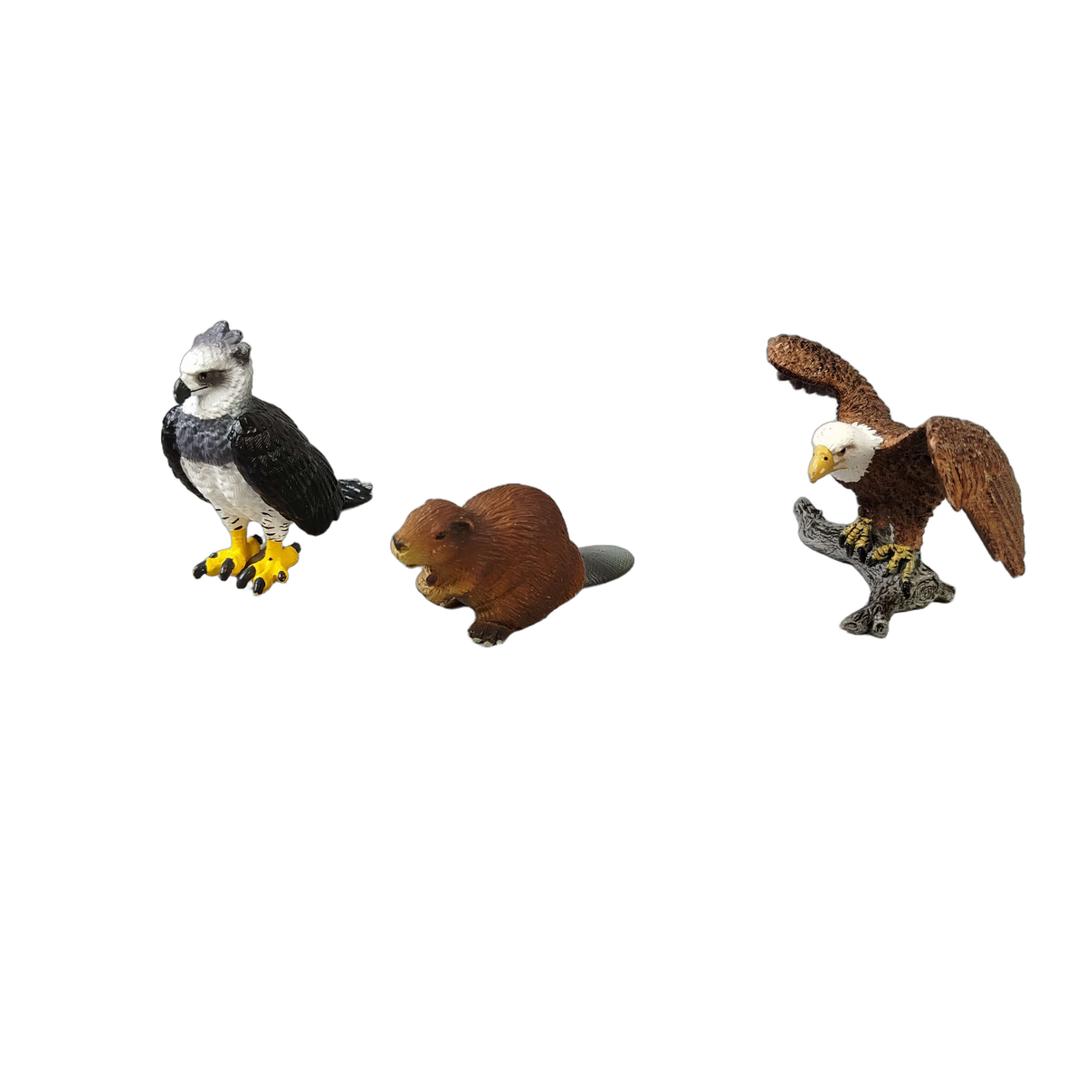 Schleich Tiere Bundle Wildtiere & Vögel Adler 6 Teile Tierfiguren
