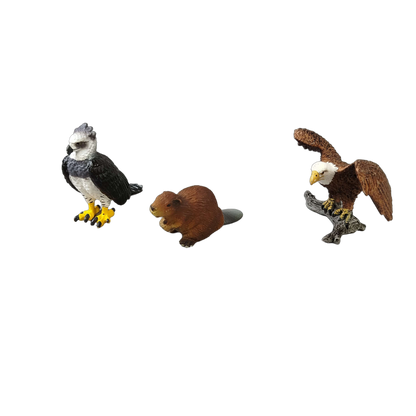 Schleich Tiere Bundle Wildtiere & Vögel Adler 6 Teile Tierfiguren