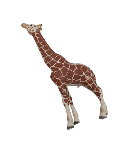 Schleich Tiere Bundle 14749 5 Teile Kuh, Krokodil & Giraffe