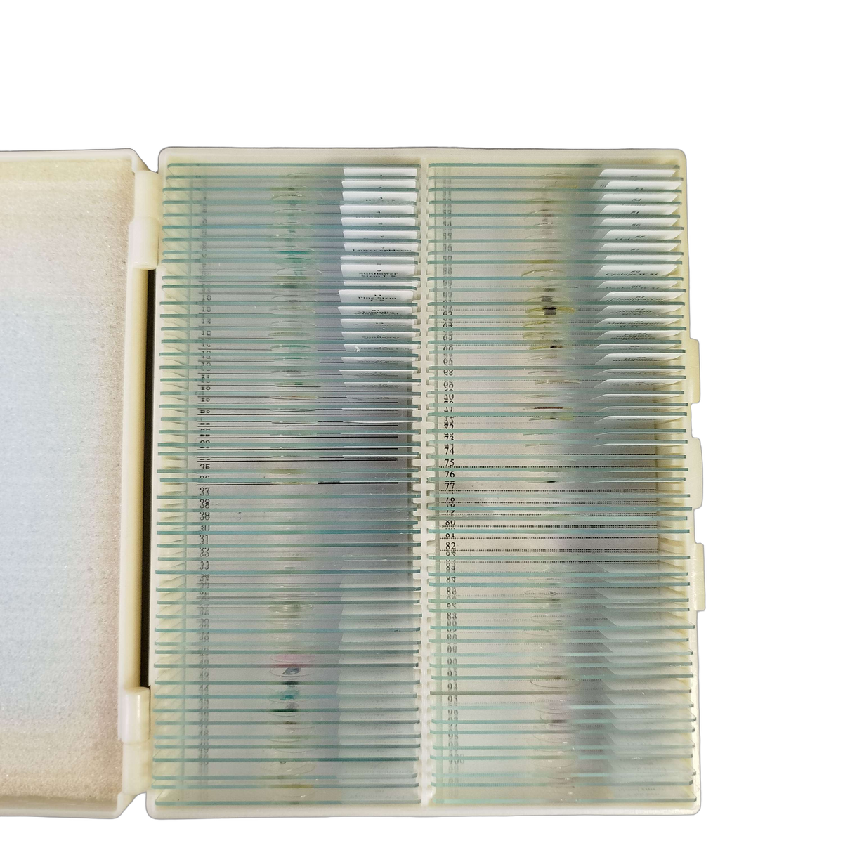 MAXLAPTER Biological Specimen 100 Mikroskop-Präparate Set Biologie