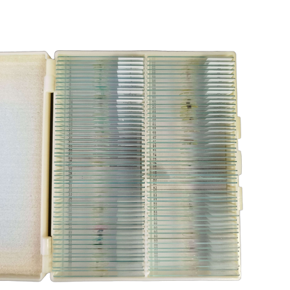 MAXLAPTER Biological Specimen 100 Mikroskop-Präparate Set Biologie
