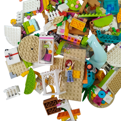 LEGO Bundle Friends großes Set Figuren & Bausteine, Shop & Zubehör