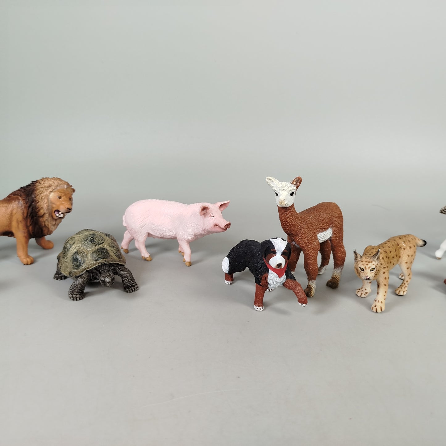 Schleich Tiere Set von 13 Figuren – Hund, Löwe, Pferdefohlen, Koala