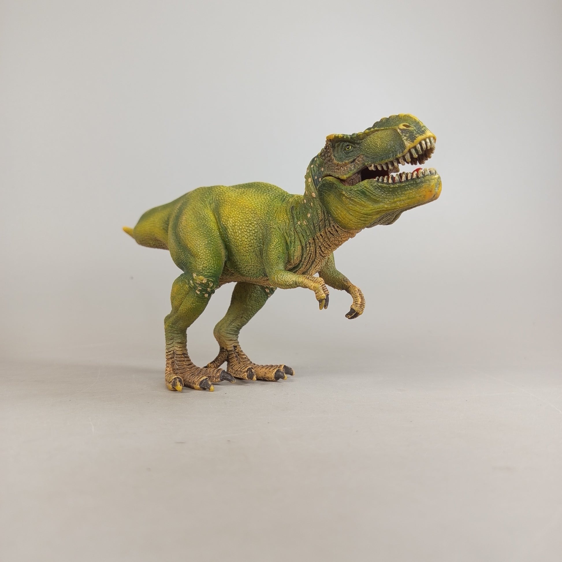 Dinosaurier Figuren Set von 6 – Urzeit Tiere & Raubsaurier