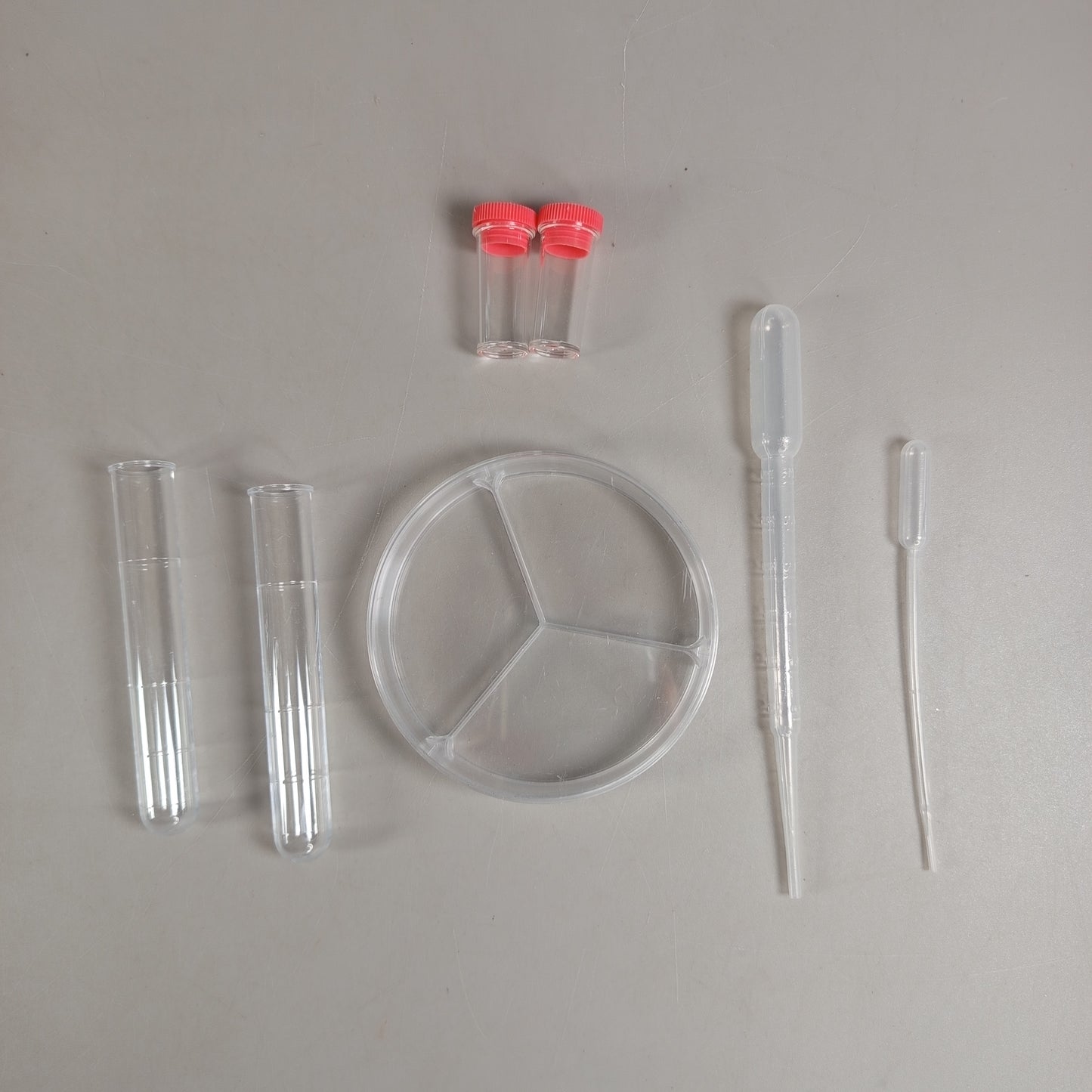 Clementoni Natur unter dem Mikroskop 69804 Mikroskop