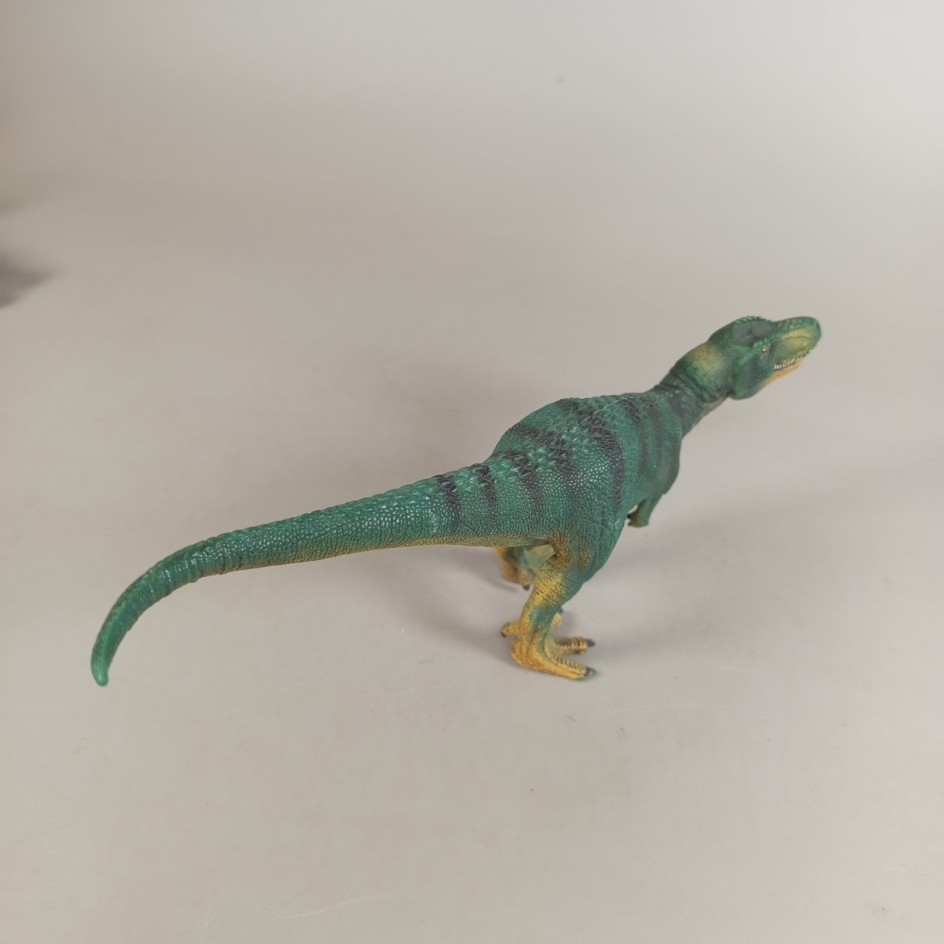 Dinosaurier Figuren Set von 6 – Urzeit Tiere & Raubsaurier
