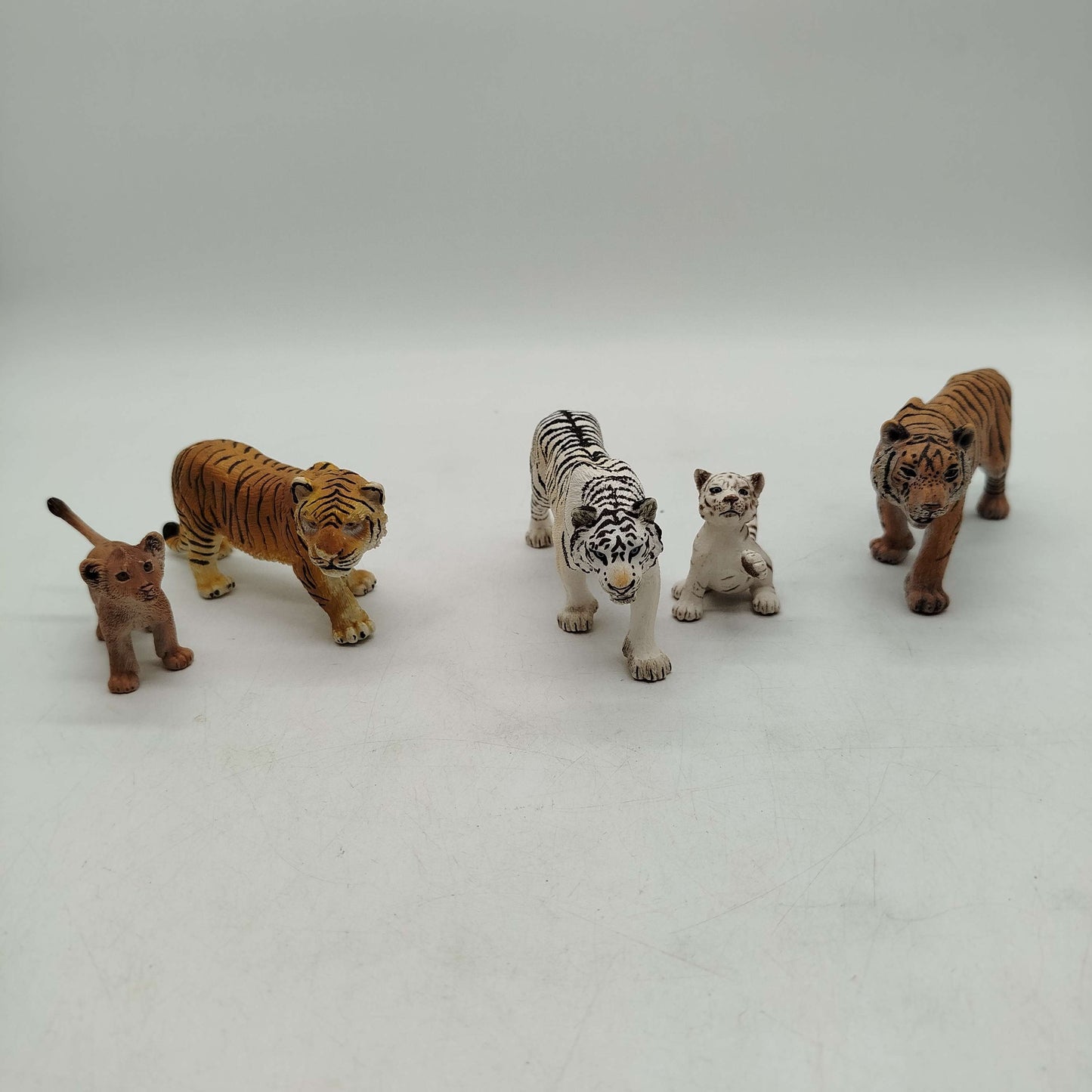 Schleich Bundle Tiger & Löwenjung Set von 5