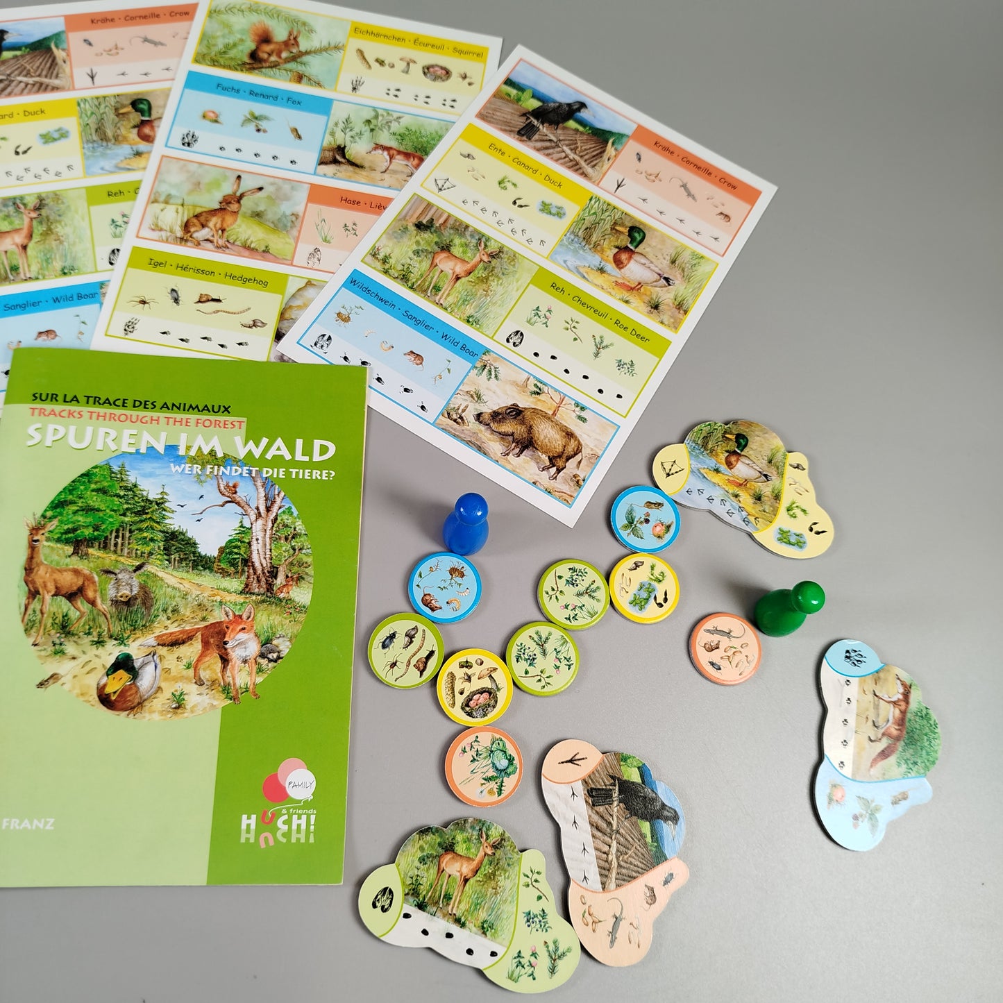 HUCH! Brettspiel - Spuren im Wald, Tiere entdecken