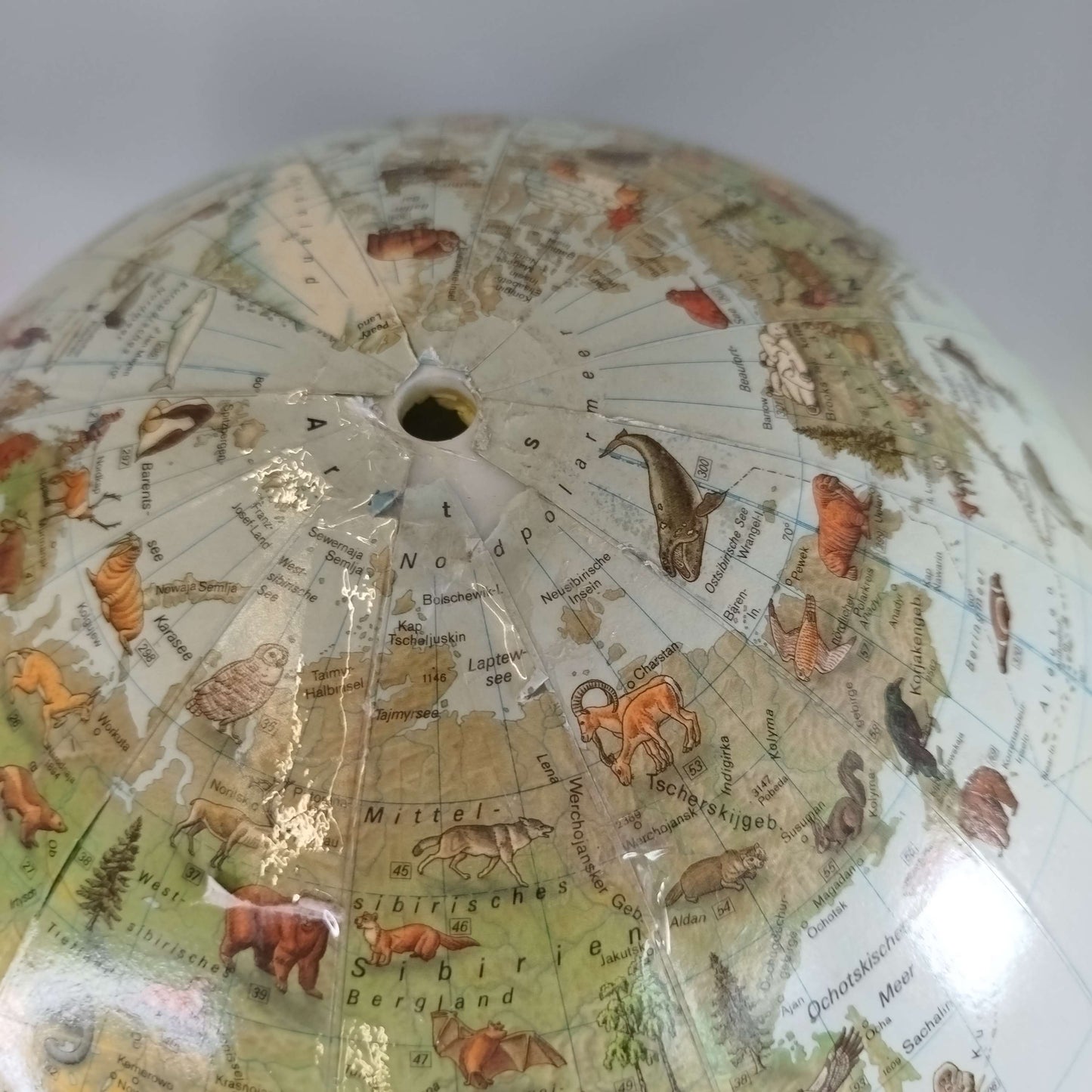 Columbus Verlag Leuchtglobus Ø25 cm mit Lupe