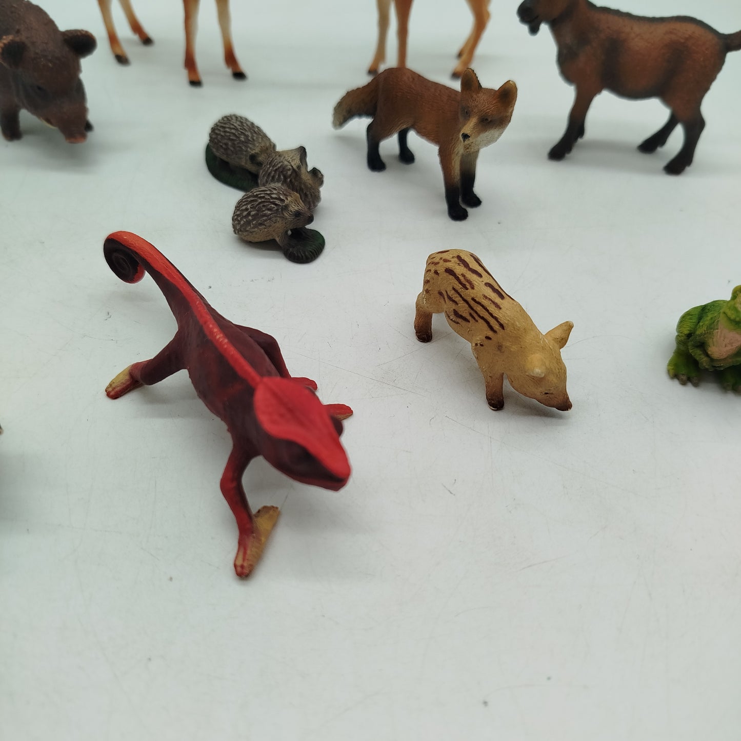 Schleich Bundle Wildtiere Set von 11 Figuren ab 3 4 5 Jahre | ✅ geprüft 