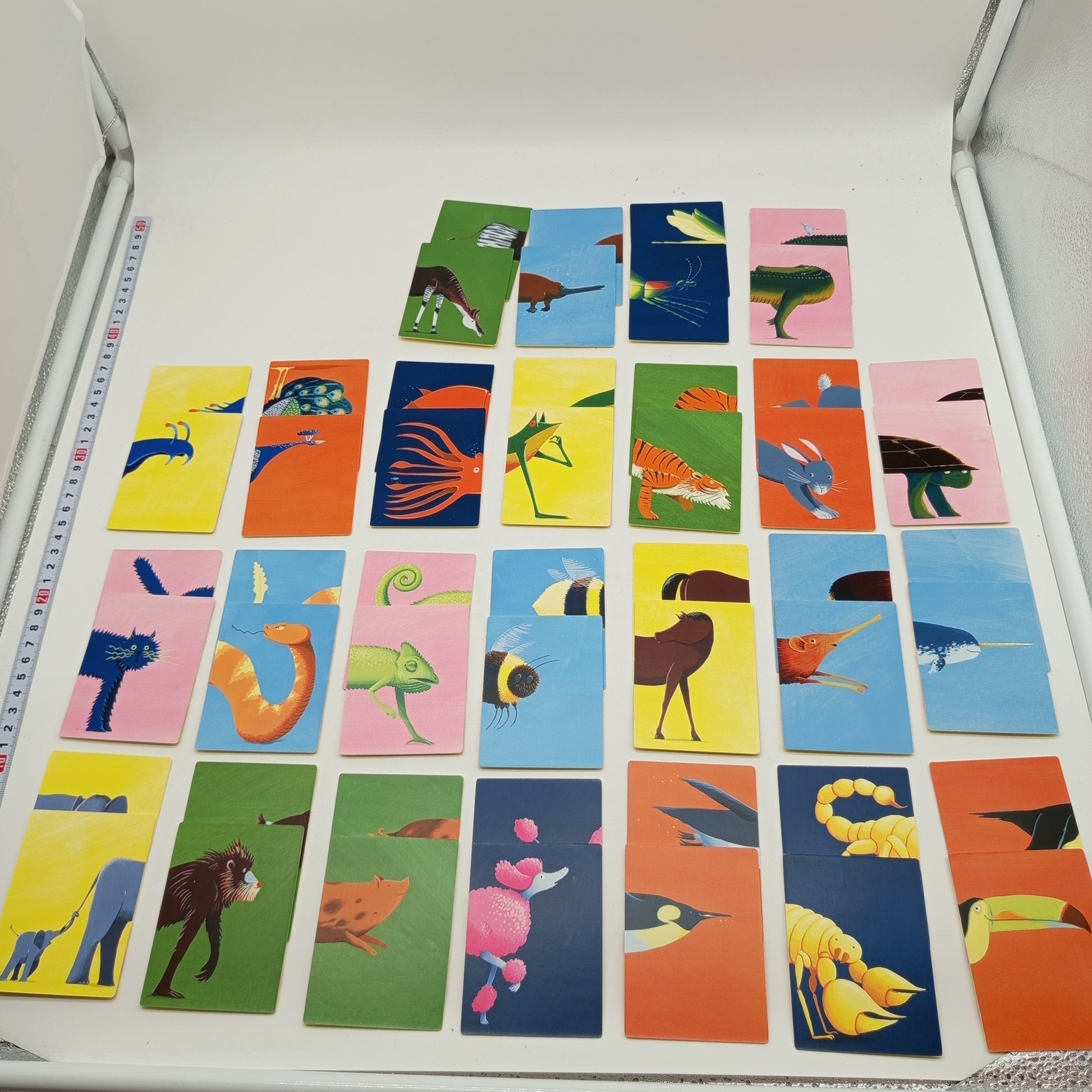 Wo ist mein Po? Tier-Memo Kartenspiel – Lernspiel für Kinder, OVP