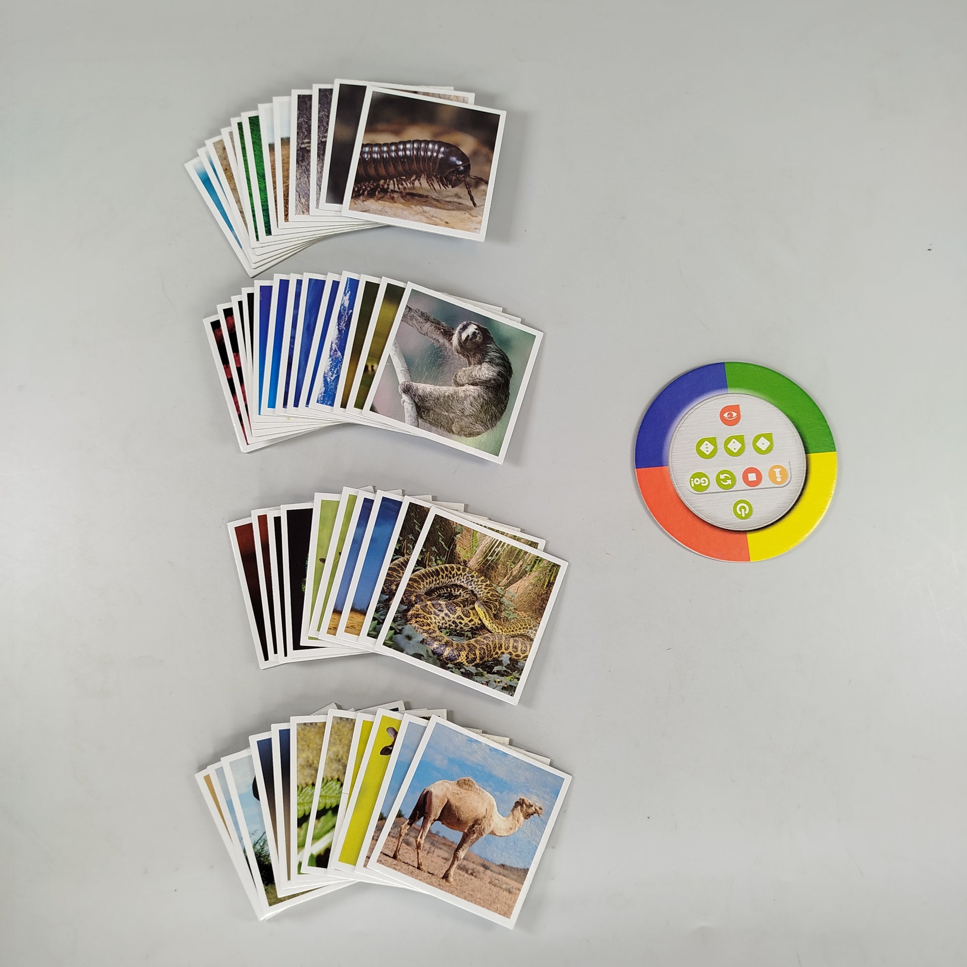 Ravensburger Tiptoi Set: "Rekorde im Tierreich" & "Bilderlexikon Tiere"