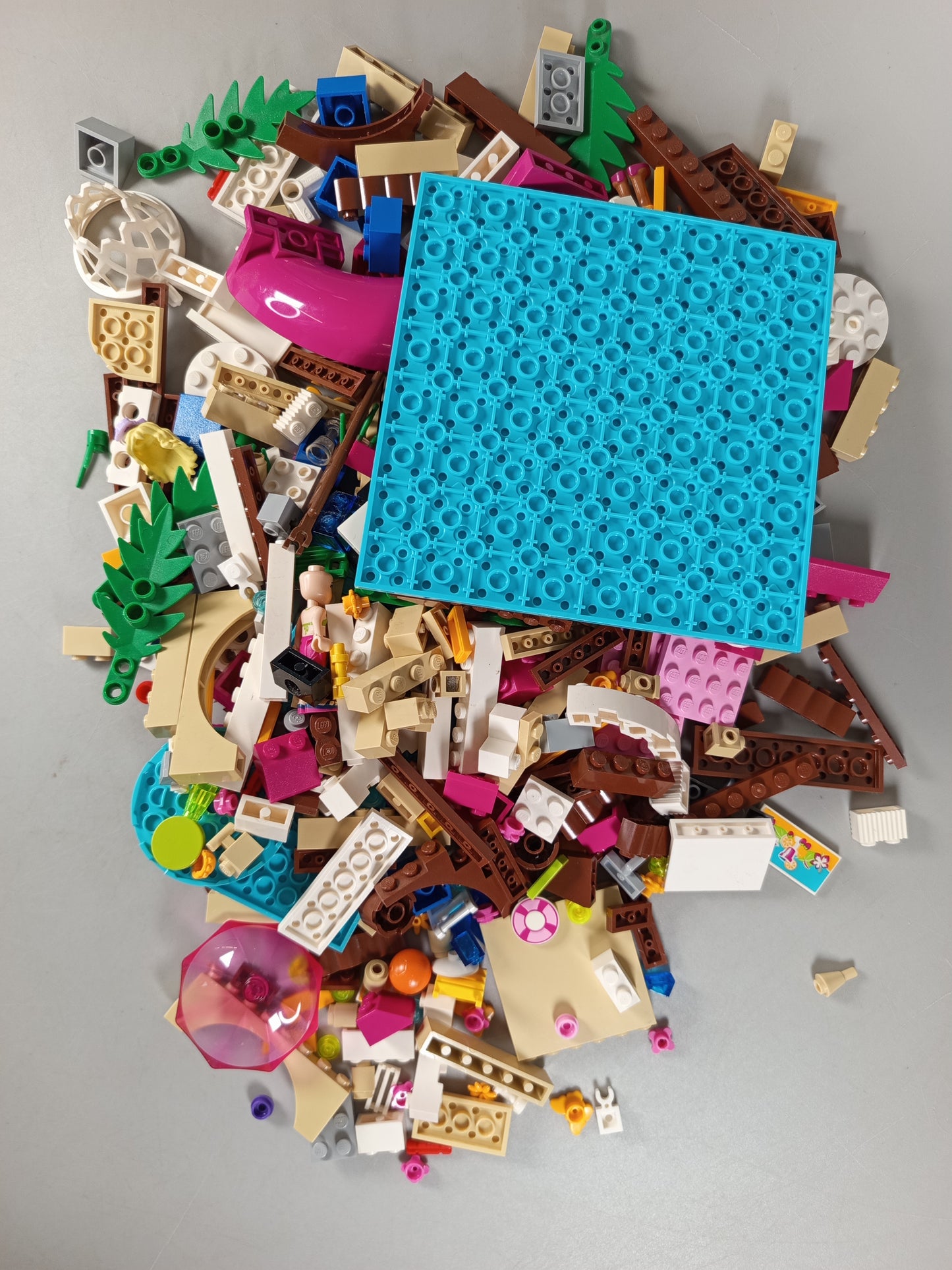 LEGO Bundle Friends 41008 Pool mit Figuren