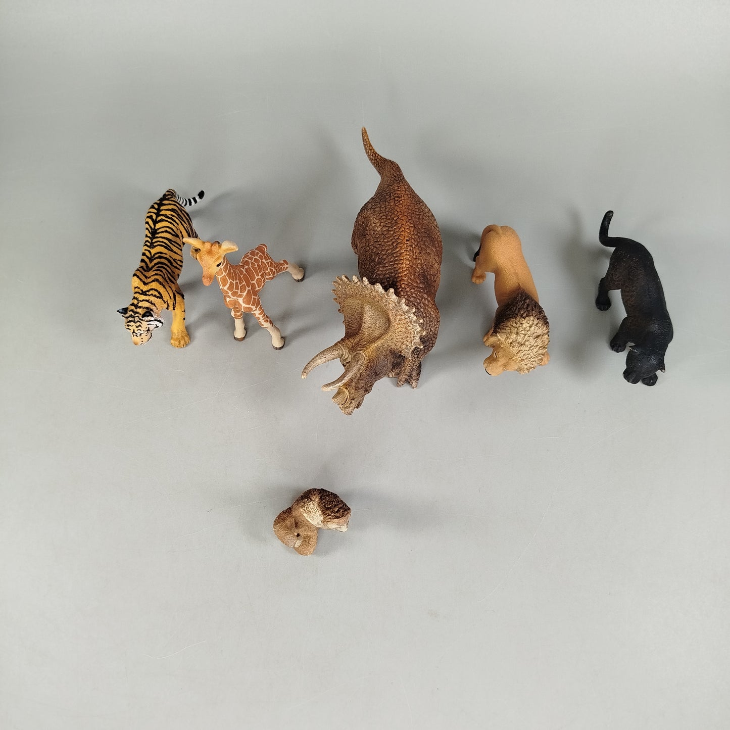 Schleich Tiere Figuren-Set – Set von 6 Tierfiguren