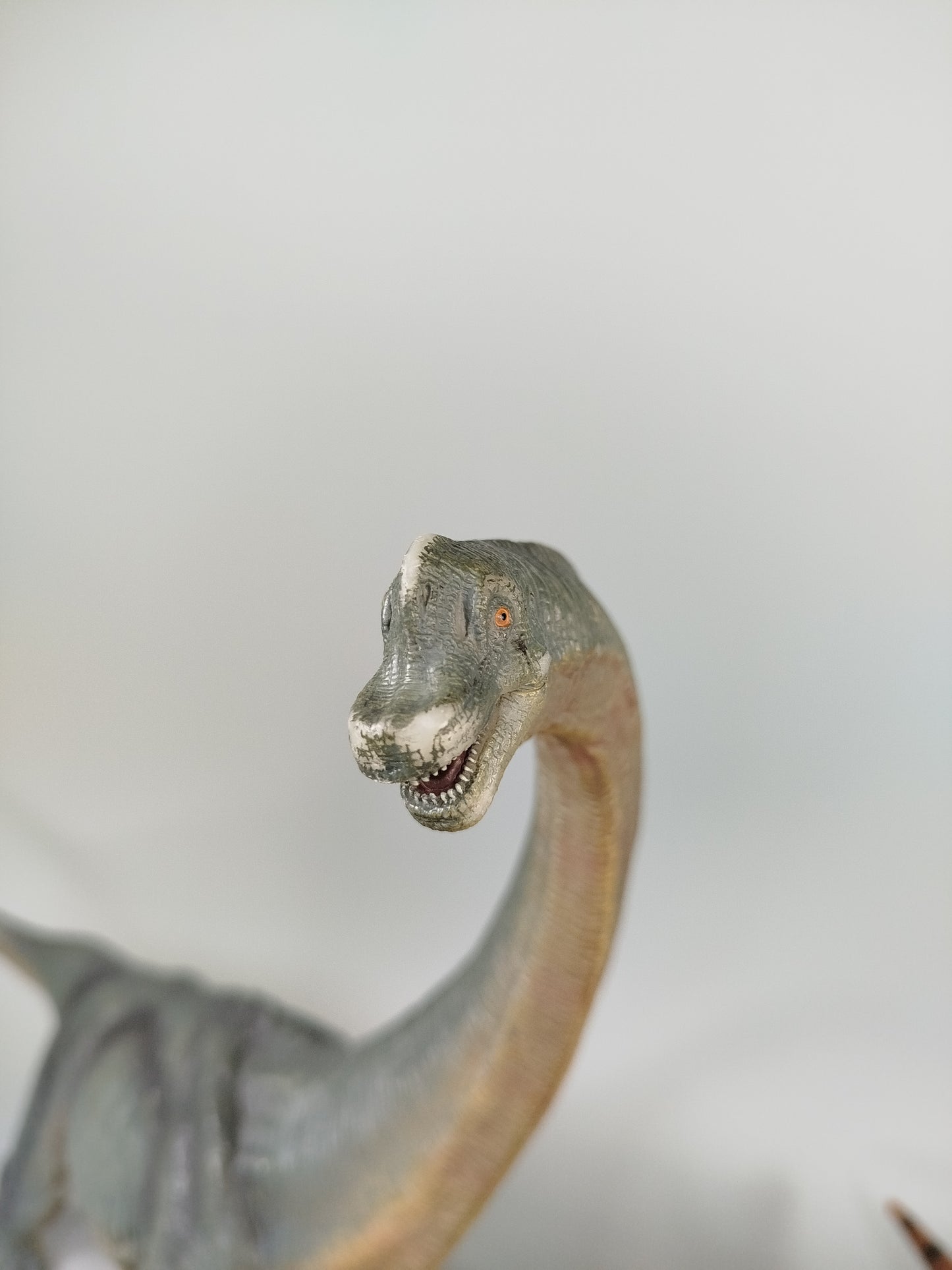 Dinosaurier Spielfiguren Set von 11 – verschiedene Arten 