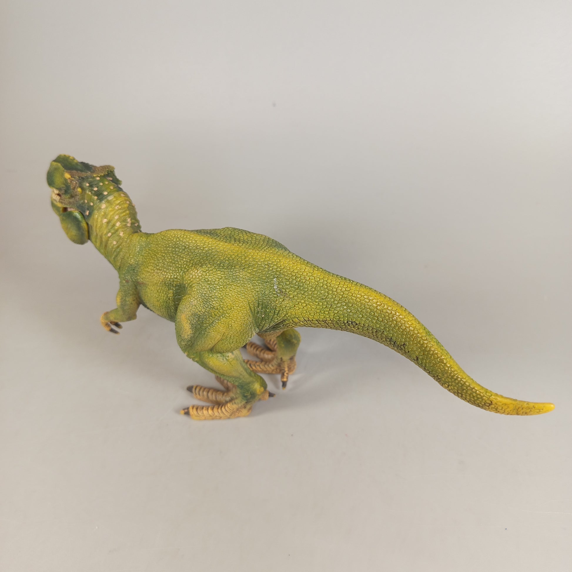 Dinosaurier Figuren Set von 6 – Urzeit Tiere & Raubsaurier