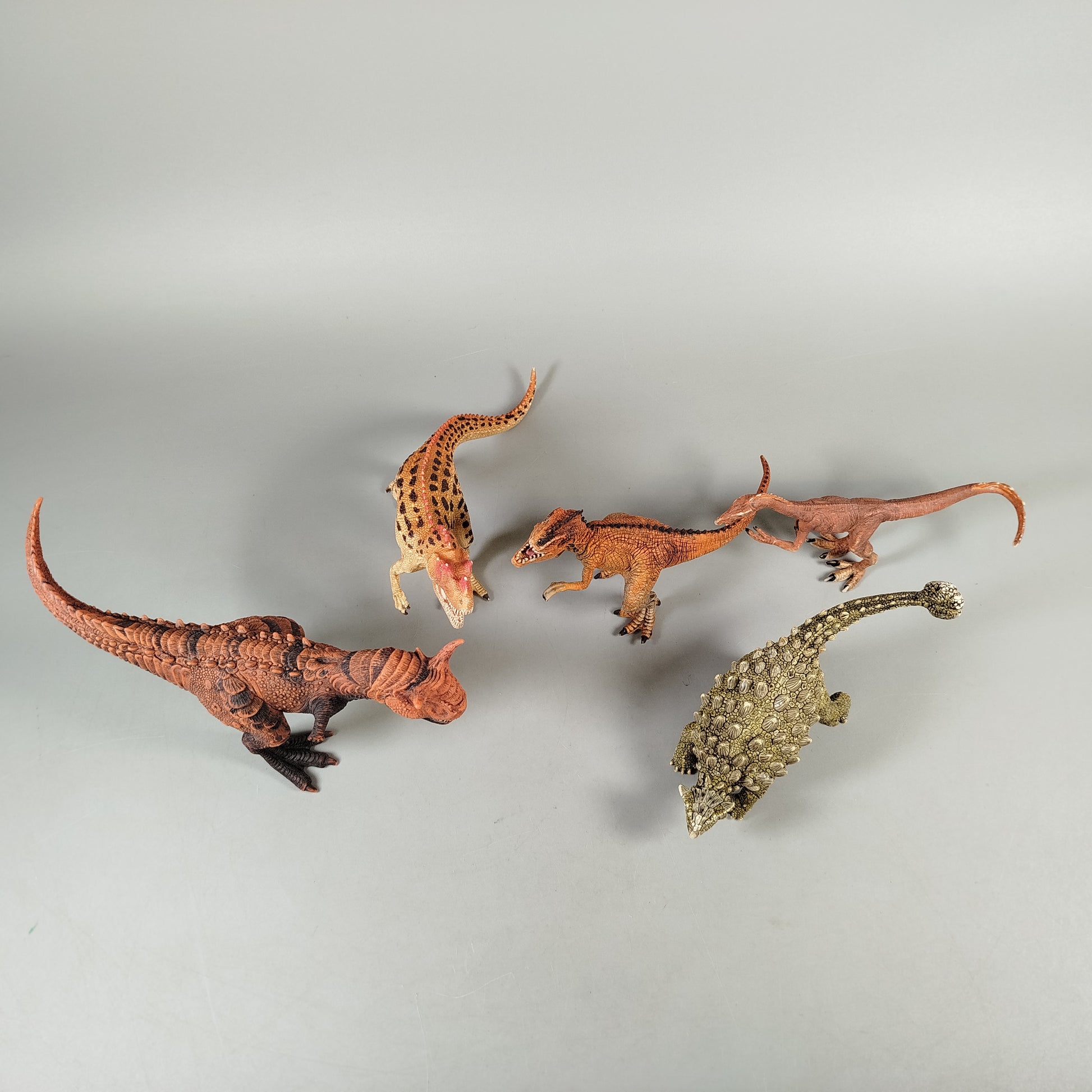 Schleich Dinosaurier Set von 5 Figuren – Urzeit Dinos, sehr gut