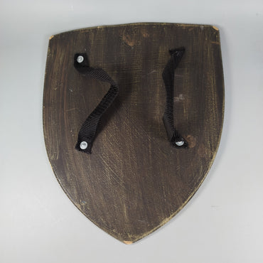  Ritterspiel-Set: Schild und Helm, Mittelalter-Design