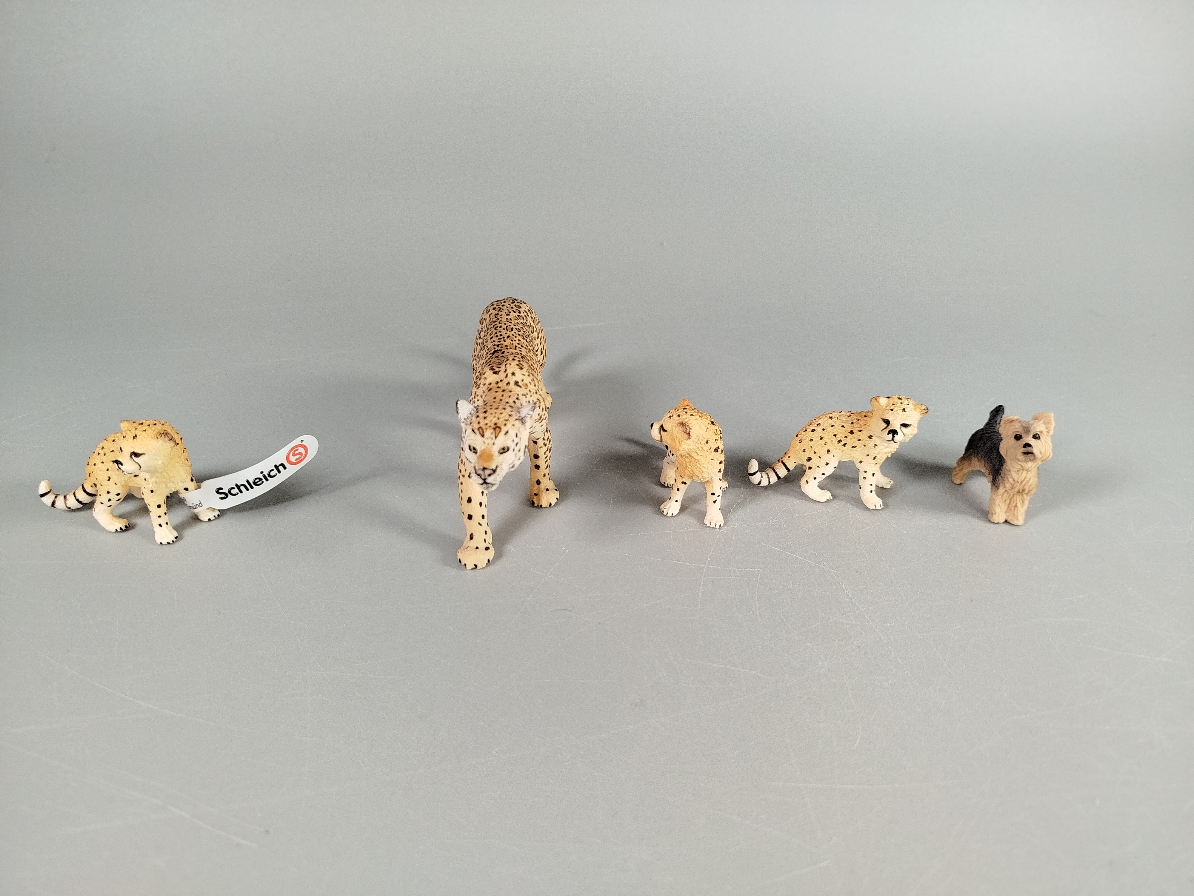 Tierfiguren Set (5-teilig)