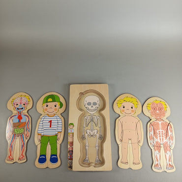 Holzpuzzle Menschlicher Körper Neuwertig