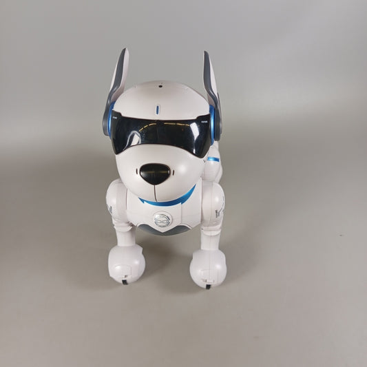 Interaktiver Roboterhund mit Fernbedienung – elektronisches Spielzeug Set