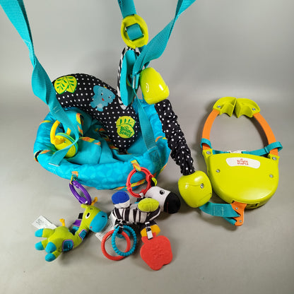 Bright Starts Bounce 'n Spring Door Jumper 10410