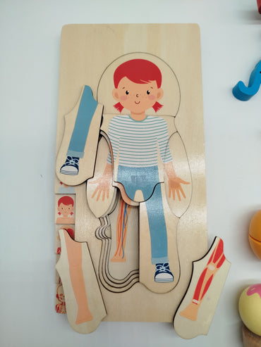 Holzspielzeug Set – Anatomie Puzzle, Jaques of London Katzen & Lebensmittel