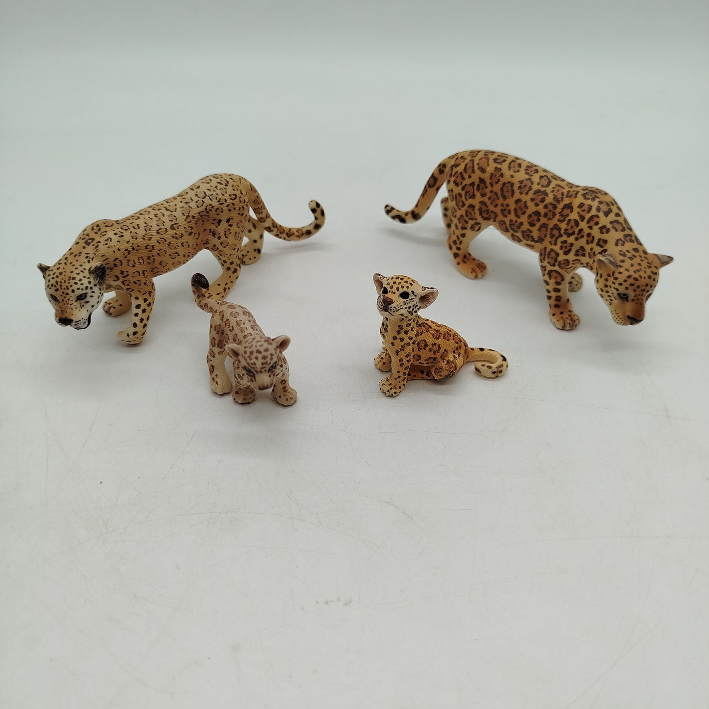 Schleich Bundle Großkatzen Leoparden Set von 4 Figuren