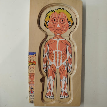 Körperpuzzle Lernspiel - Anatomische Ebenen für Kinder