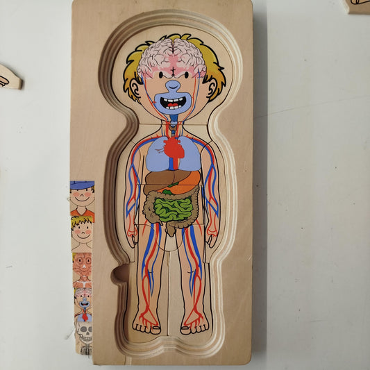 Körperpuzzle Lernspiel - Anatomische Ebenen für Kinder